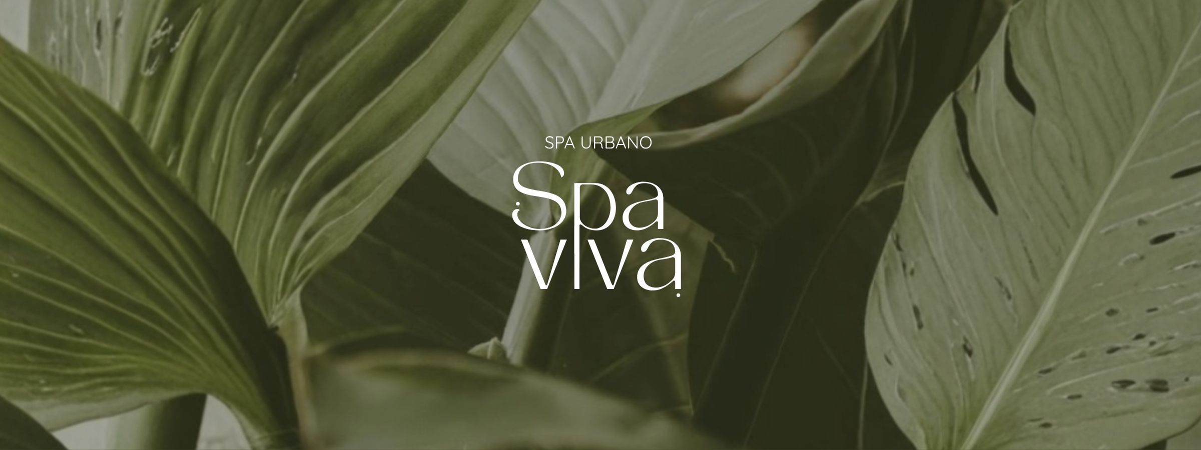 Spa Viva Sorocaba
